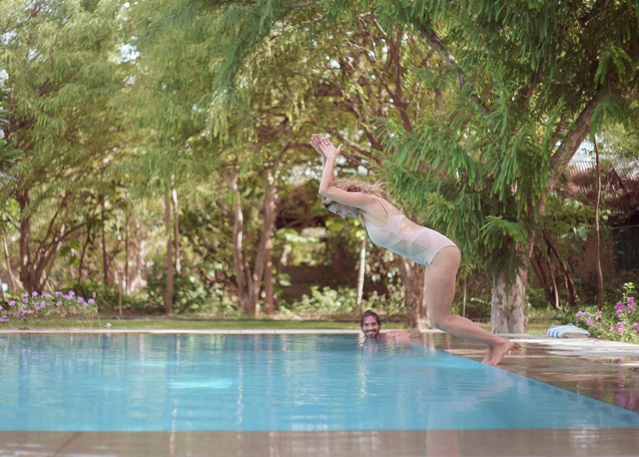 Pushkarorganic - Lux Farm Resort With Pool Exterior photo