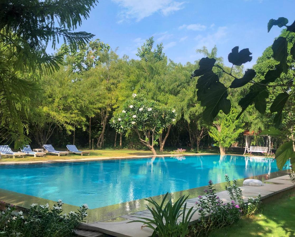 Pushkarorganic - Lux Farm Resort With Pool Exterior photo